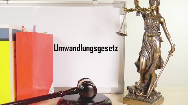 571_Gesetz_Umwandlungsgesetz