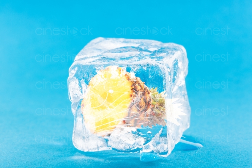 Ananas im Eiswürfel vor blauem Hintergrund 20130114