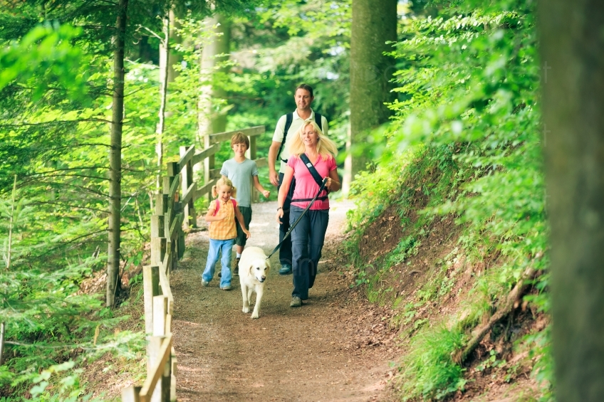 Familie beim Spaziergang im Wald 20120810-6