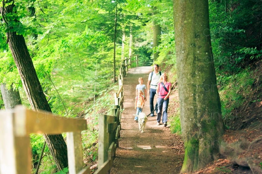 Familie geht an Waldweg spaziere 20120810-17