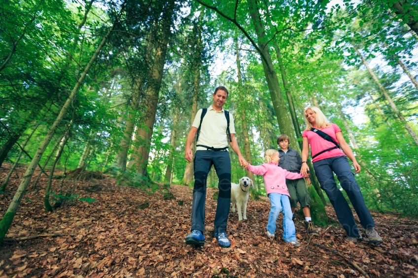 Familie läuft bergab durch den Wald 20120810-244
