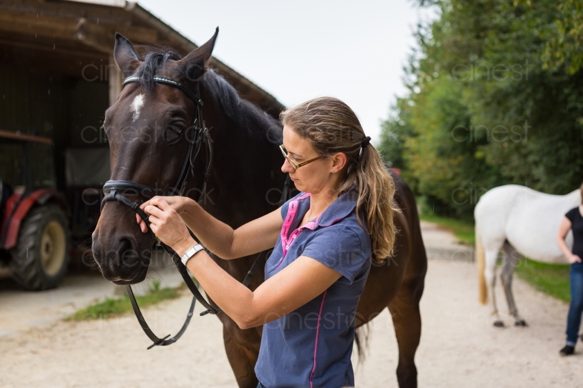 Frau bindet Pferd an 20150913-0898 
