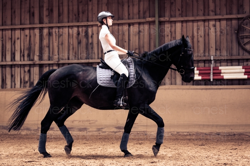 Frau Reitet Pferd in Halle 20150913-0527 