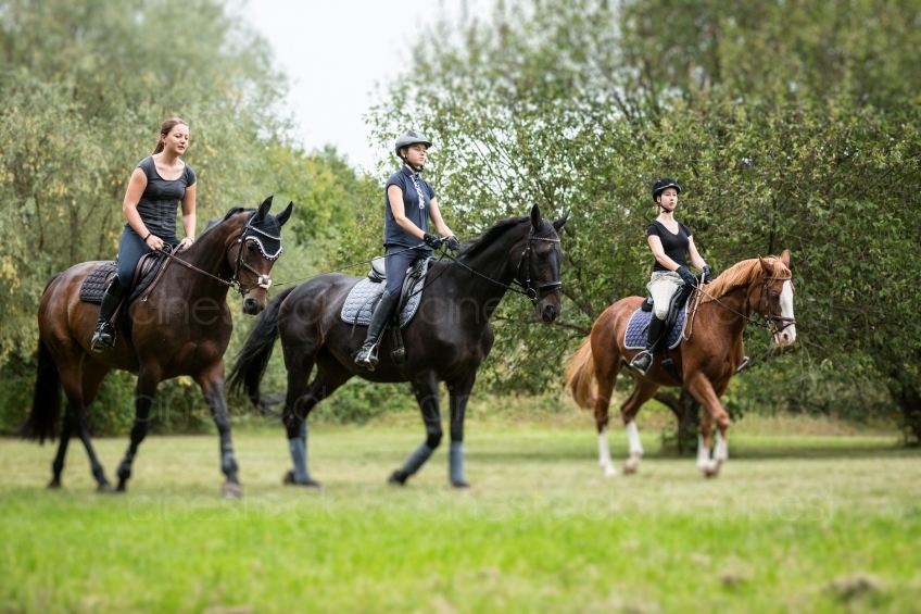 Frauen auf Pferd 20150913-1061 