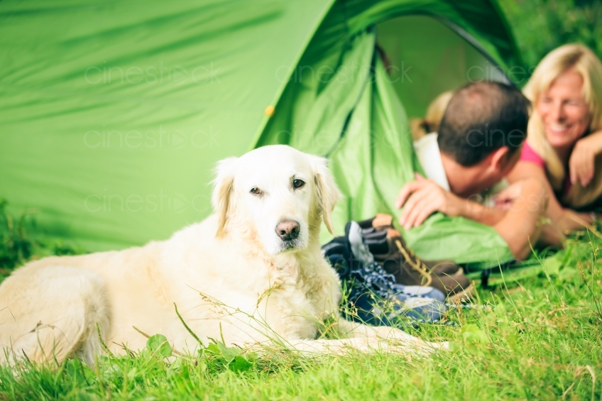Hund liegt vor Zelt mit Familie 20120810-802