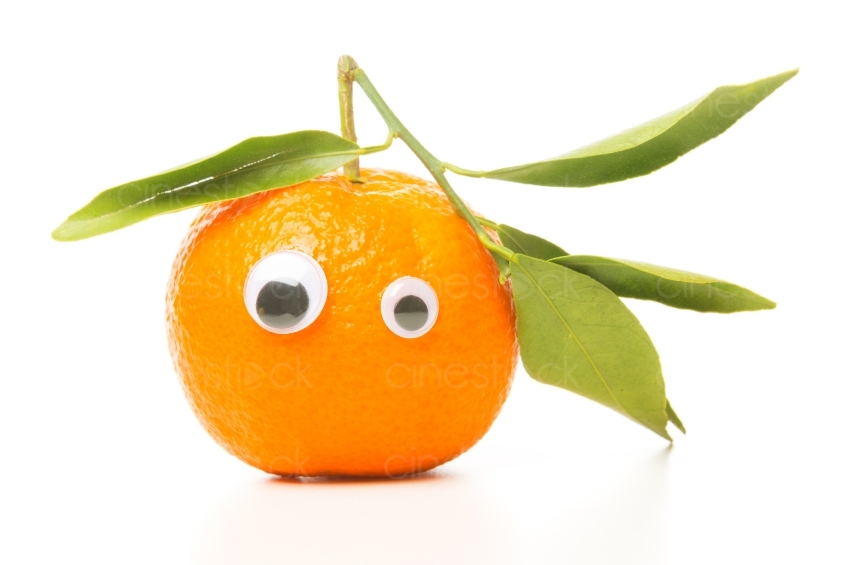 Mandarine mit Augen vor weißem Hintergrund 20130110