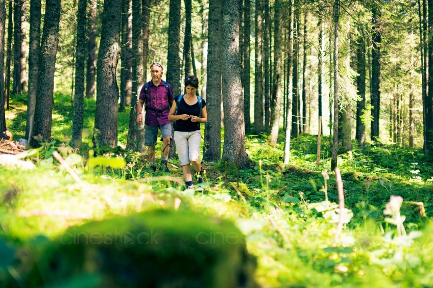 Mann und Frau wandern im Wald aus Distanz 20130805-0969
