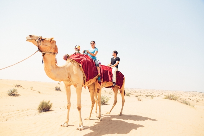 Mit Kamelen in der Wüste 20140313-2235