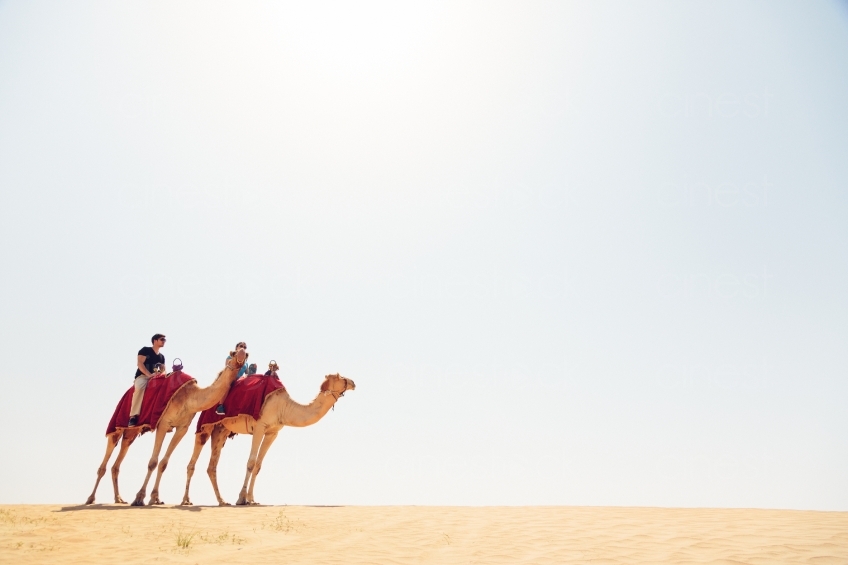 Mit Kamelen in der Wüste 20140313-2247-2