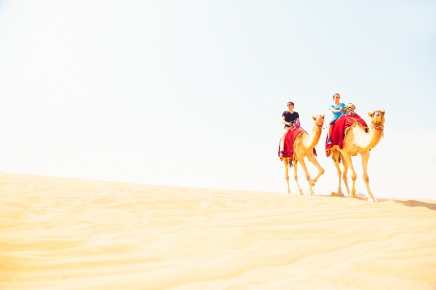 Mit Kamelen in der Wüste 20140313-2284