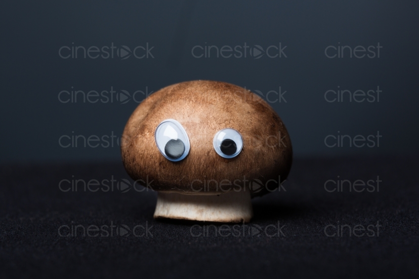 Pilz mit Augen vor schwarzem Hintergrund 20130110