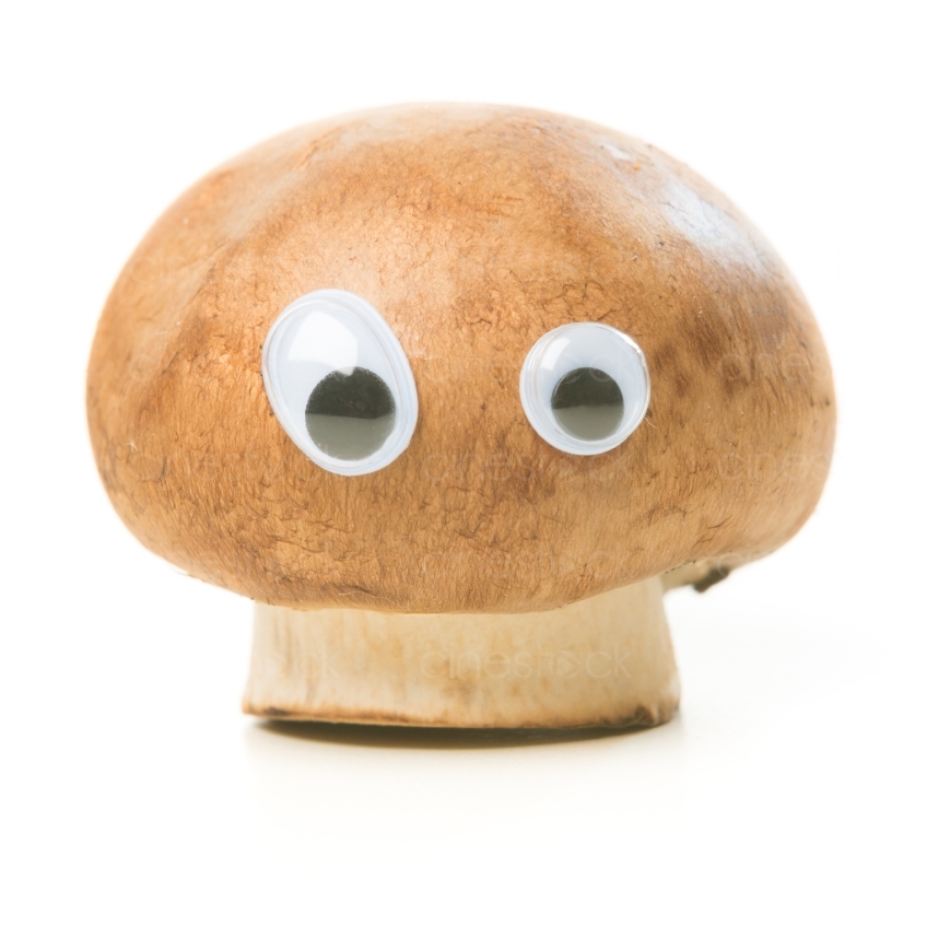 Pilz mit Augen vor weißem Hintergrund 20130110