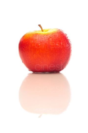 roter Apfel  20120307_0015