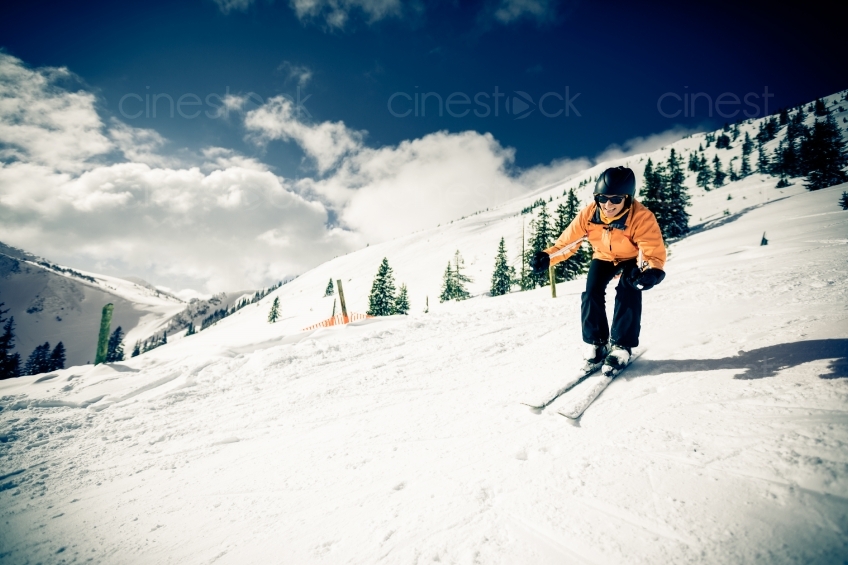 Skifahrer auf der Piste 20130217