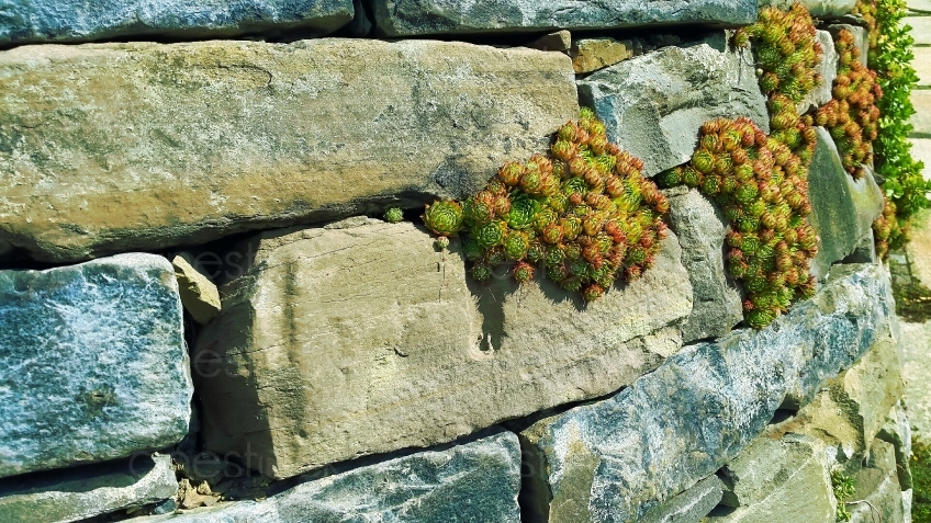 stone-wall-2056388