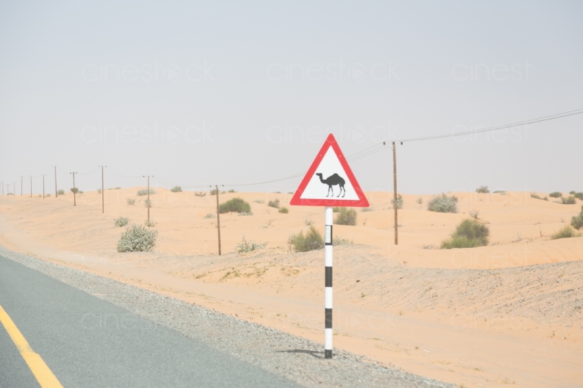 Straße durch Wüste 20140313-2064