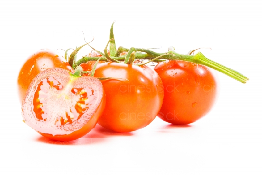Tomaten 20120319_0076