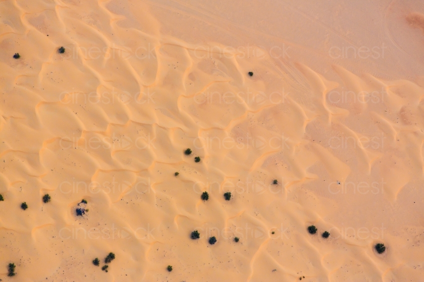 Unterwegs in der Wüste 20140313-4259