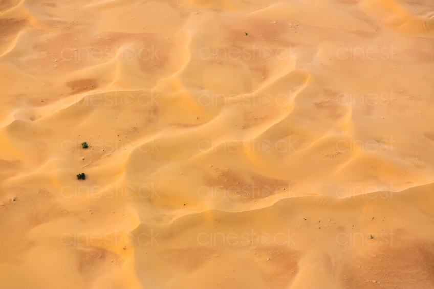 Unterwegs in der Wüste 20140313-4273